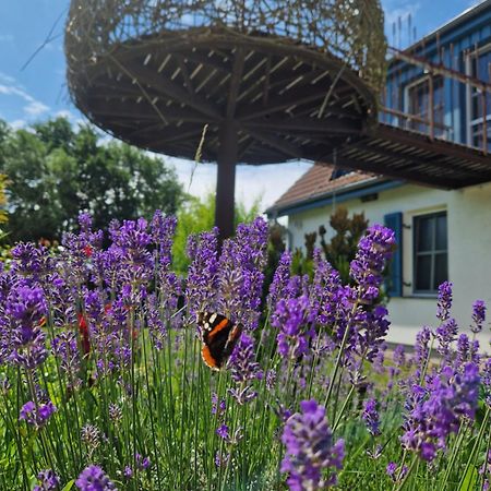 ヴィークHaus Am Schilfアパートメント エクステリア 写真